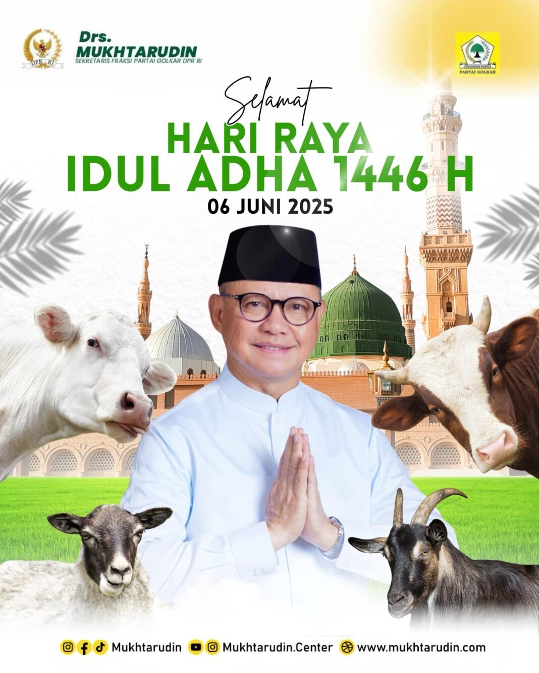 11517ee3-44b8-44ba-83e3-cfd044bc8712