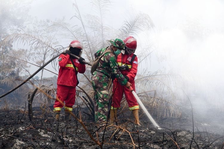 Hotspot Menurun, Asap Karhutla Masih Ganggu Kualitas Udara dan Jarak Pandang-EnterKal