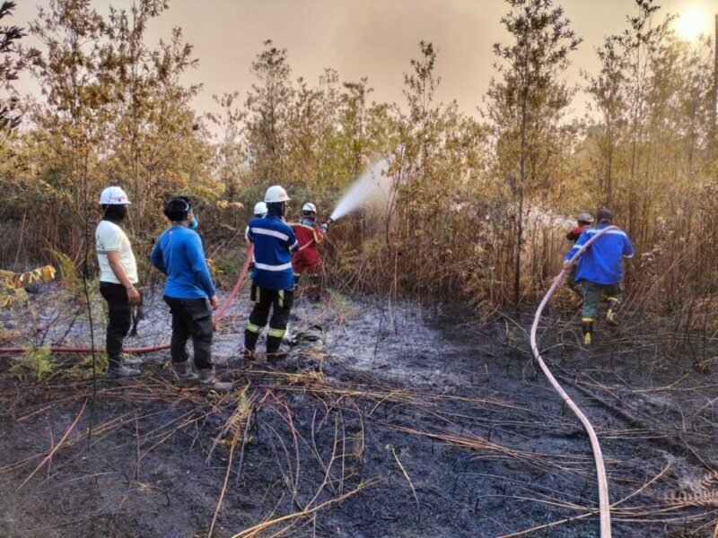 Dishut Kaltara Perkuat Kesiapsiagaan Setelah 282 Hotspot Terdeteksi
