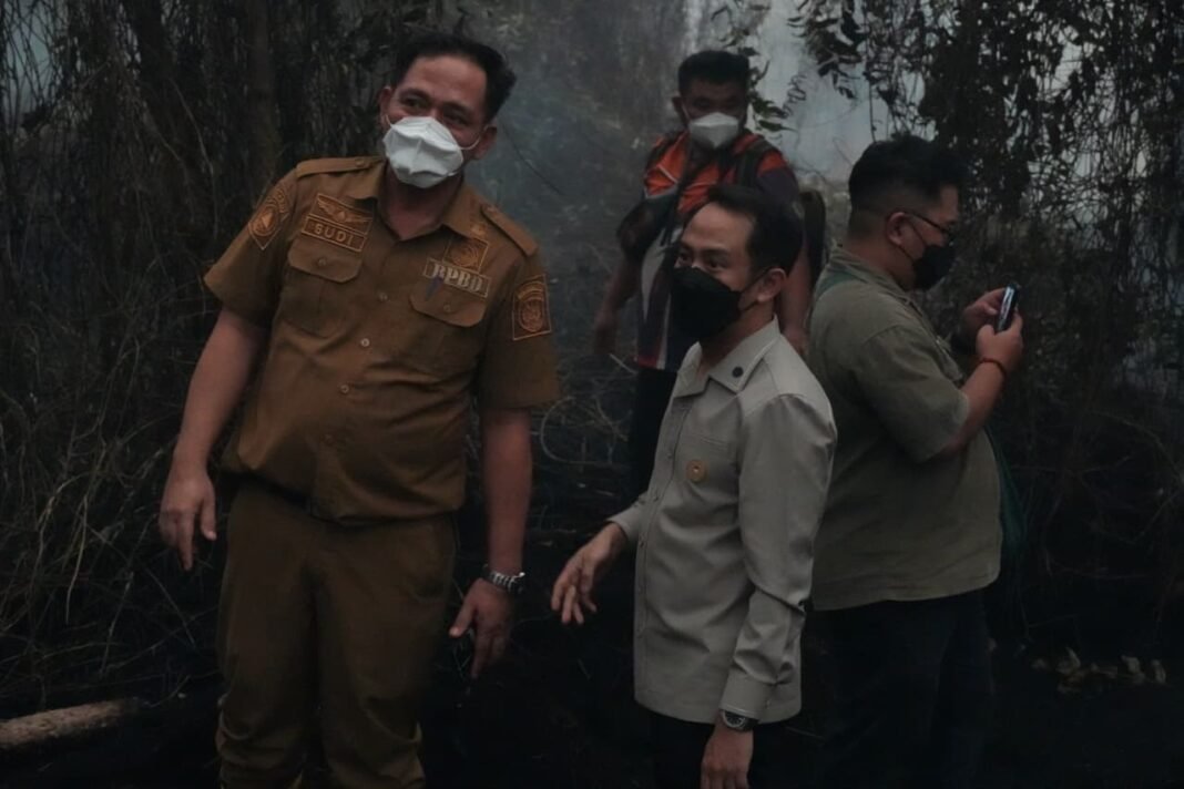 Fairid Tinjau Pemadaman Karhutla di Jalan Merdeka Palangka Raya